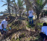 Cerca de 80 voluntarios, así como la organización Conservation Opportunity, participaron de la actividad, que tuvo lugar en la zona de la playa Margara.