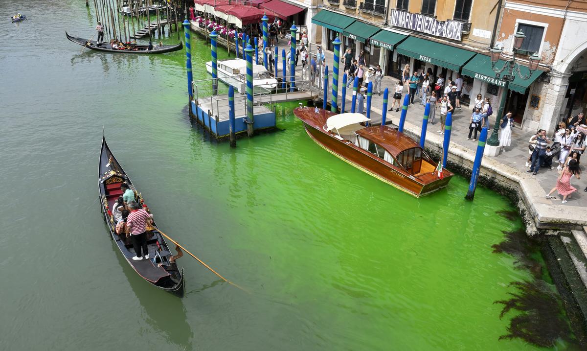 Venice police investigate green spots in the water of the city’s Grand Canal

 Buzz News