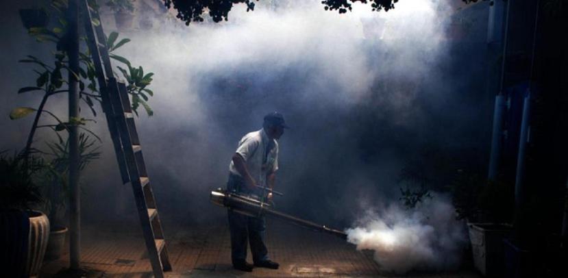 La fumigación en las viviendas es una de las medidas que ha tomado el Ministerio de Salud dominicano para combatir al aedes aegypti, mosquito transmisor del dengue. (EFE / Archivo)