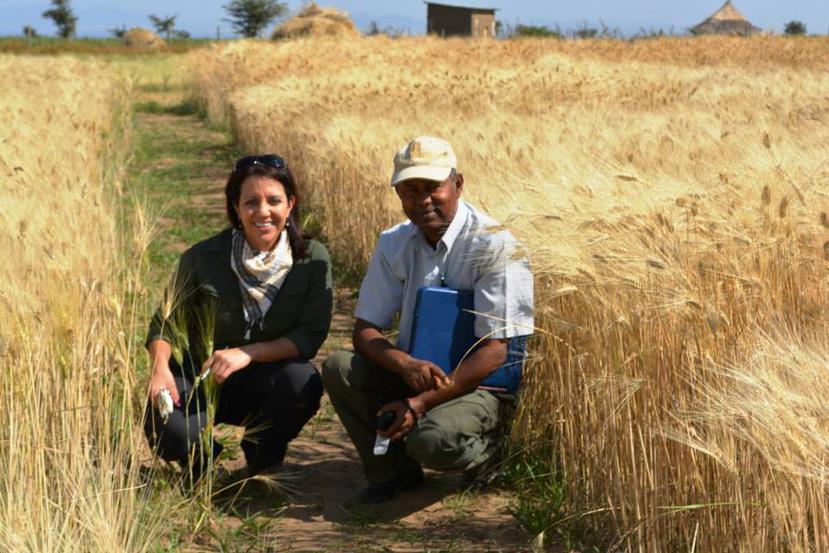 Etiopía es uno de los países donde la doctora en fitopatología (enfermedades de plantas), Maricelis Acevedo Román, ha trabajado e investigado. (Suministrada / Maricelis Román)