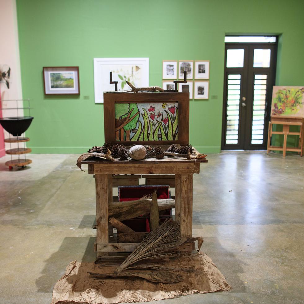 En la exhibición se puede apreciar el discurso solidario de cada uno de los artistas hacia lo que es Casa Pueblo en Adjuntas.