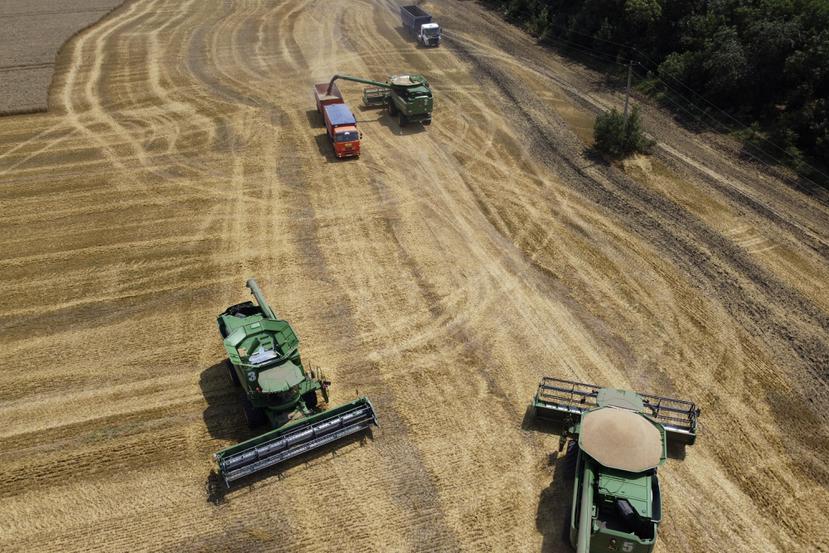 Agricultores cosechan con maquinaria un campo de trigo cerca del poblado de Tbilisskaya, Rusia, el 21 de julio de 2021. Los tanques y misiles rusos que asedian Ucrania también amenazan el suministro de comida y los medios de vida de personas en Europa, África y Asia.