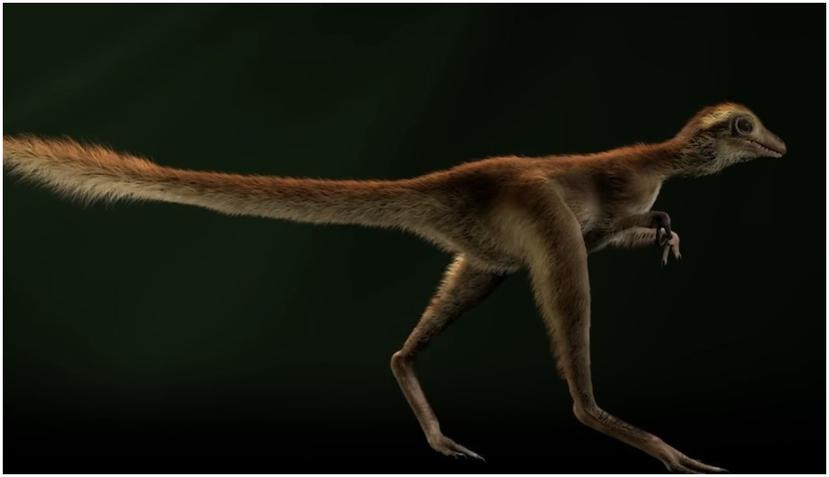 La apariencia de este dinosaurio era muy diferente a lo que se creía.  (Twitter / @AMNH)