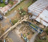 En la imagen, un árbol cayó sobre una residencia en las parcelas Soledad, en Mayagüez, a consecuencia del huracán Fiona.