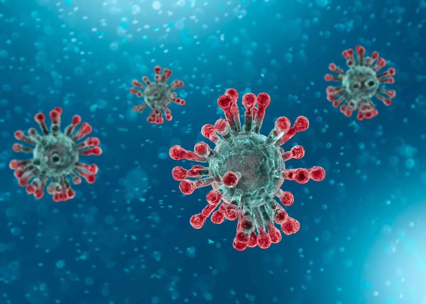 Existen preguntas sobre cómo la densidad de las partículas del virus podrían afectar las tasas de transmisión. (Shutterstock.com)