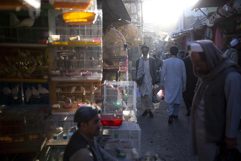 Afganistán se hunde en una profunda crisis económica y humanitaria con la llegada de los talibanes.