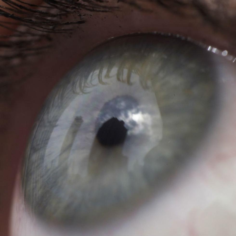 Para ver todo el espectro de luz, el ojo tiene que producir ciertos pigmentos para que la retina funcione correctamente.