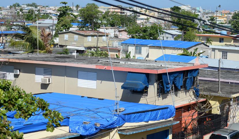 Las comunidades del Caño Martín Peña, además de necesitar un techo seguro, enfrentan problemas con el control de mosquitos y ratas, a poco menos de cuatro meses desde el azote del huracán María.