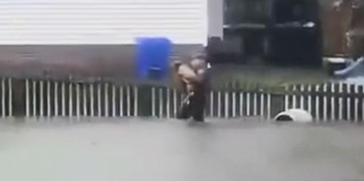 Rescatan a un perro que estaba atado a una acera en inundaciones