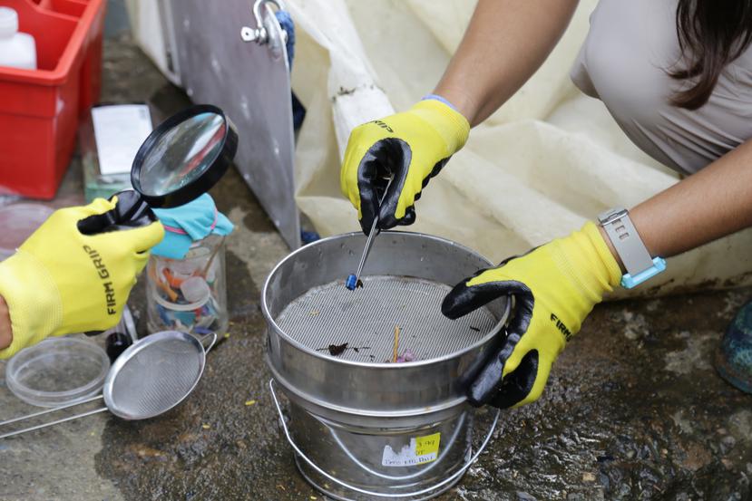 El peligro desconocido de las botellas de agua de plástico: la alerta de  los científicos