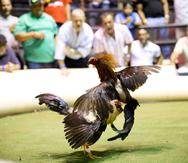 Un acuerdo de un comité de conferencia que el Congreso llevará a votación final esta semana propone extender a Puerto Rico y los demás territorios la prohibición en contra de las peleas de gallos. (GFR Media)