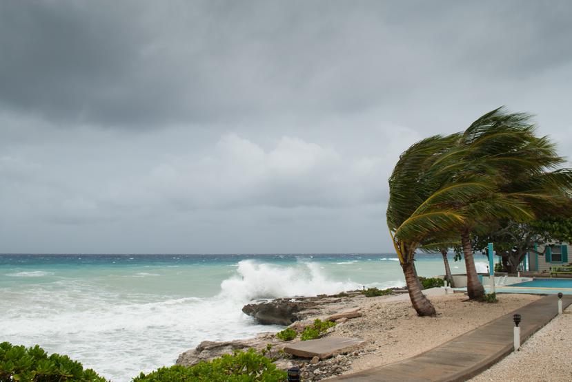 De acuerdo con los entrevistados, el NMEAD trabaja de manera desarticulada por su inserción en el Departamento de Seguridad Pública (DSP) y la mitigación de riesgos –más que necesaria tras el paso del huracán María en 2017– está en pañales.
