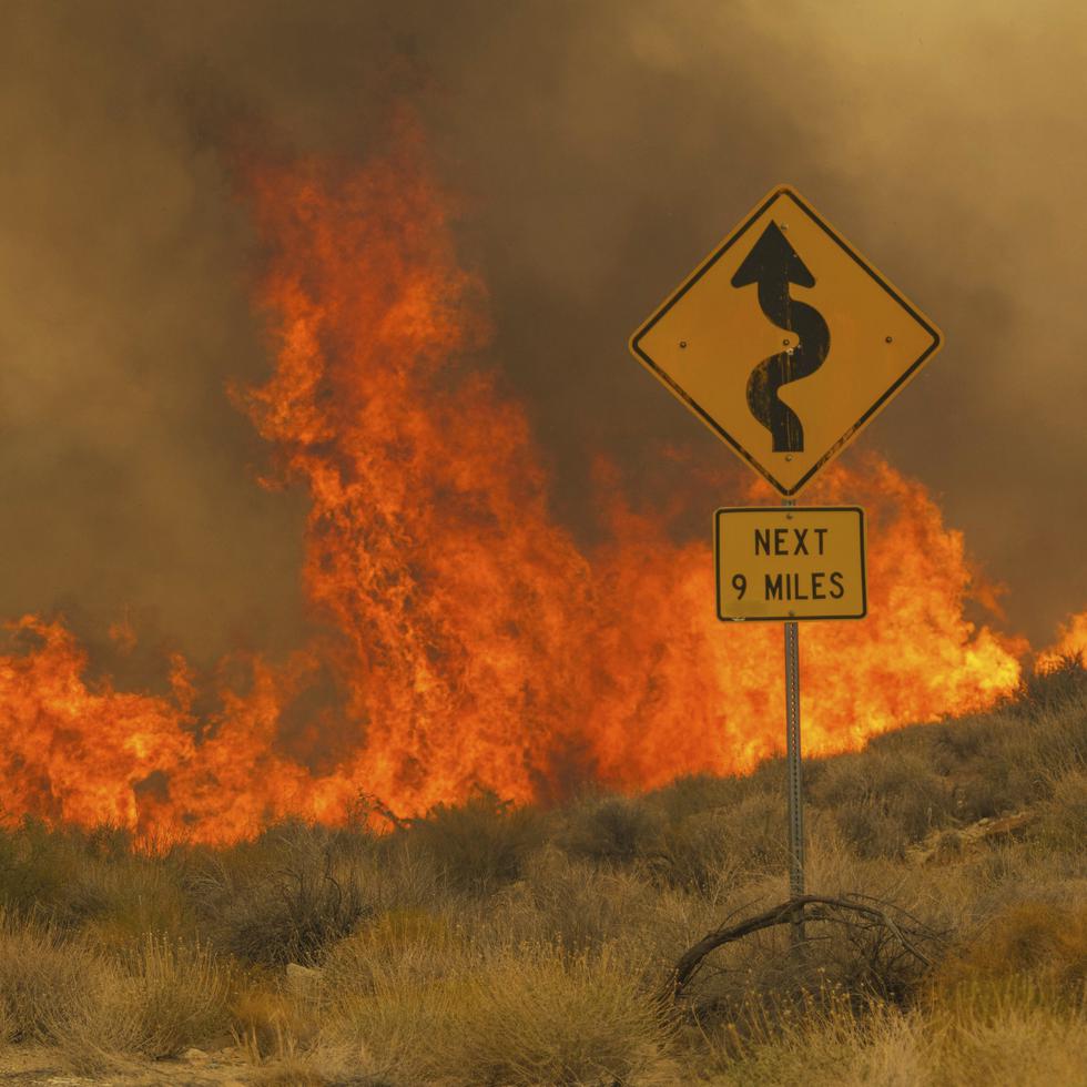 Llamas del incendio York cubren el camino Ivanpah en la Reserva Nacional Mojave, California, 39 de julio de 2023.