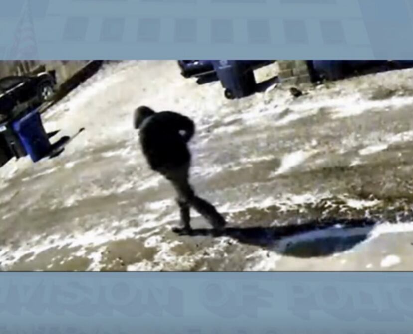 Las autoridades han publicado imágenes de seguridad de una persona de interés en el asesinato de una pareja de Ohio que fue encontrada muerta a tiros en su hogar la semana pasada.
La policía de Columbus encontró al doctor Spencer Tepe, un dentista de 37 años, y a Monique Tepe, de 39, con heridas de bala en el segundo piso de su casa alrededor de las 10 a.m. del 30 de diciembre, luego de que los oficiales fueran solicitados para realizar un chequeo de bienestar, informaron las autoridades. Personal médico más tarde los declaró muertos.