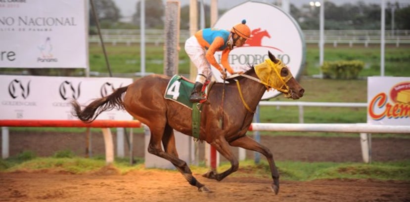 La tresañera venezolana Señora Simona cruza la meta victoriosa en la Copa Dama Del Caribe, montada por Emisael Jaramillo. (Suministrada)