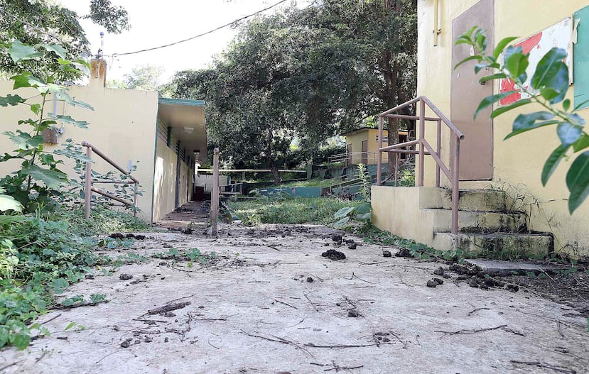 El denominador común, al cabo de cuatro meses del cierre, es la falta de un plan estructurado para lidiar con su cierre.