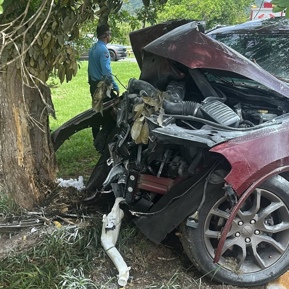 El vehículo impactó un árbol en la carretera PR-9185 en Juncos.