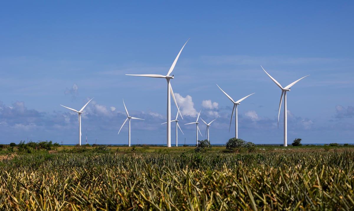 Ingeniera puertorriqueña investiga cómo enfriar turbinas de viento para mejorar su eficiencia