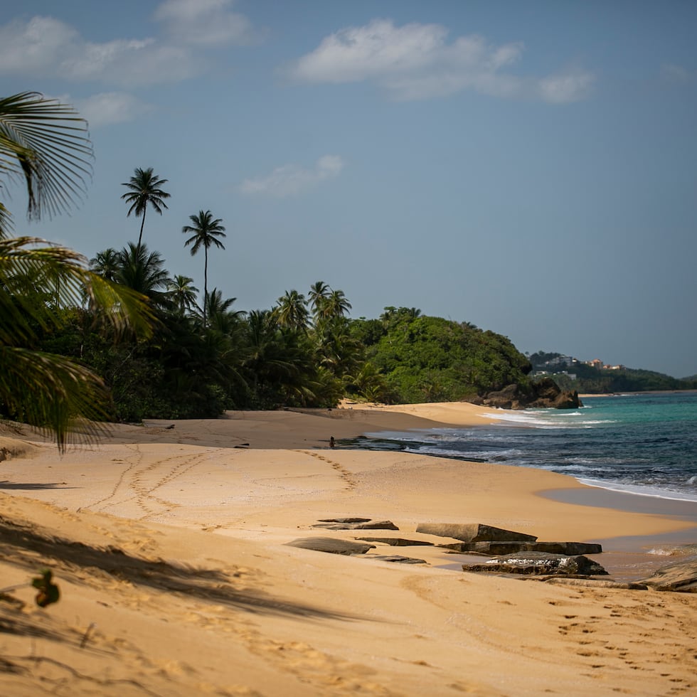 La División de Homicidios Cuerpo de Investigaciones Criminales (CIC) del área de Arecibo, en unión al fiscal José Acevedo Acevedo, se hicieron cargo de la investigación.