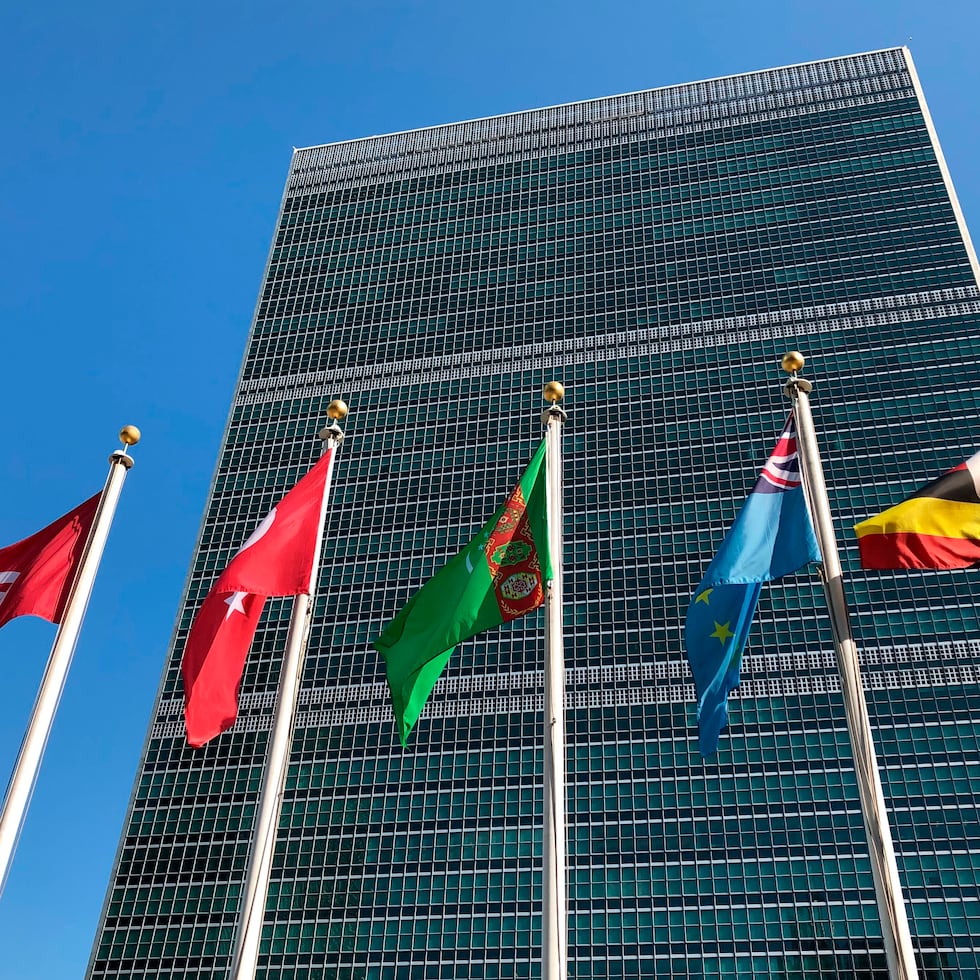 Un total de 73 personas, en su mayoría representantes de organizaciones independentistas o estadistas, han solicitado declarar en la sesión del lunes del Comité de Descolonización de la ONU.