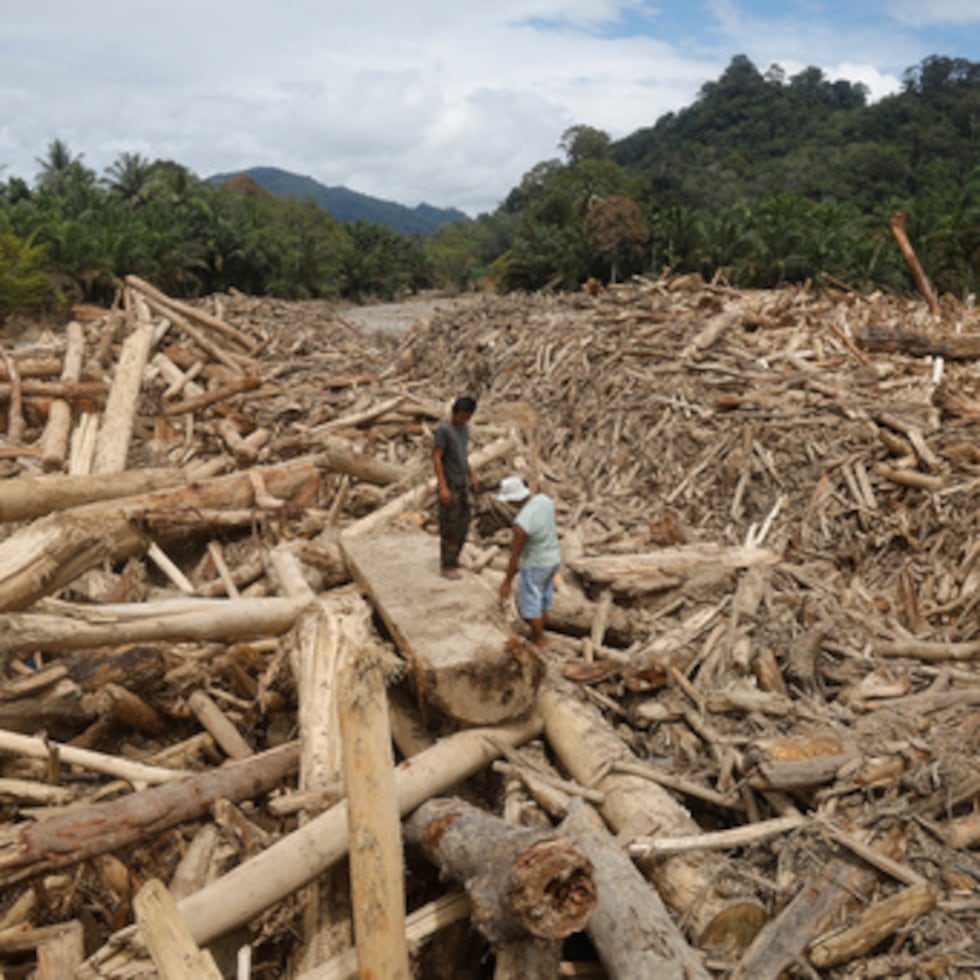 Varios hombres sobre troncos arrastrados por una riada en Batang Toru, Sumatra del Norte, en Indonesia.