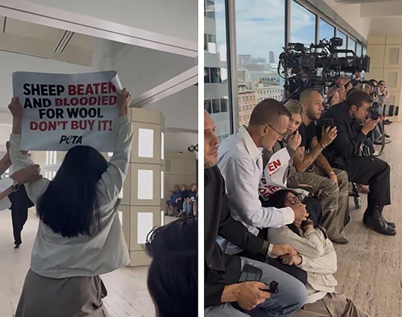 El director del Consejo de Diseñadores de Moda de Estados Unidos (CFDA, por sus siglas en inglés), Steven Kolb, se disculpó este lunes después de agredir físicamente a manifestantes por los derechos de los animales durante un desfile en el marco de la Semana de la Moda de Nueva York.