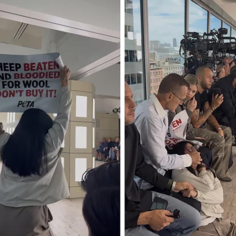 El director del Consejo de Diseñadores de Moda de Estados Unidos (CFDA, por sus siglas en inglés), Steven Kolb, se disculpó este lunes después de agredir físicamente a manifestantes por los derechos de los animales durante un desfile en el marco de la Semana de la Moda de Nueva York.