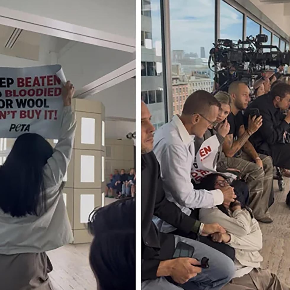 El director del Consejo de Diseñadores de Moda de Estados Unidos (CFDA, por sus siglas en inglés), Steven Kolb, se disculpó este lunes después de agredir físicamente a manifestantes por los derechos de los animales durante un desfile en el marco de la Semana de la Moda de Nueva York.