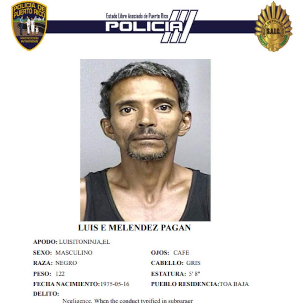 Los fiscales presentaron un total de 15 cargos ante el juez. En la imagen, la ficha de Luis E. Meléndez Pagán, de 50 años, padre de la menor.