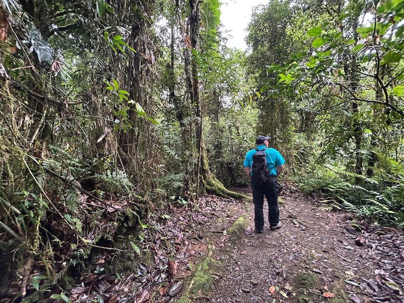 Con el nombre oficial de Parque Nacional Tapantí Macizo de la Muerte, este bosque protegido por el gobierno tiene una extensión de 225,850 millas cuadradas.