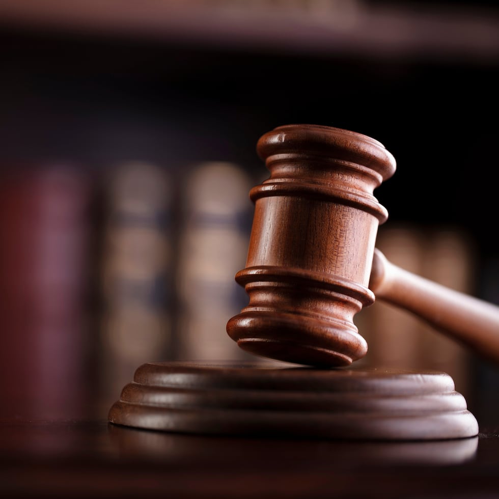 El panel de jueces del Tribunal de Apelaciones estuvo integrado por los jueces Monsita Rivera Marchand, Ana Mateu Meléndez, Lersy Boria Vizcarrondo y Juan Robles Adorno.