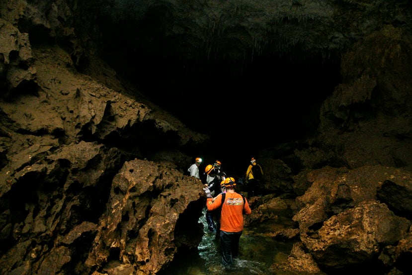 Inside, the impressive stalactites and stalagmites descend and stand imposing like a millenary limestone cathedral before the visitor's astonished gaze.