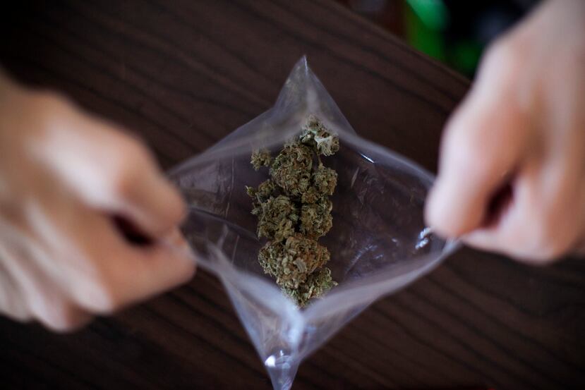 En Puerto Rico se puede utilizar el cannabis medicinal en pacientes con alguna de 14 enfermedades y se espera que se abran sobre 50 dispensarios. (Archivo/ GFR Media)