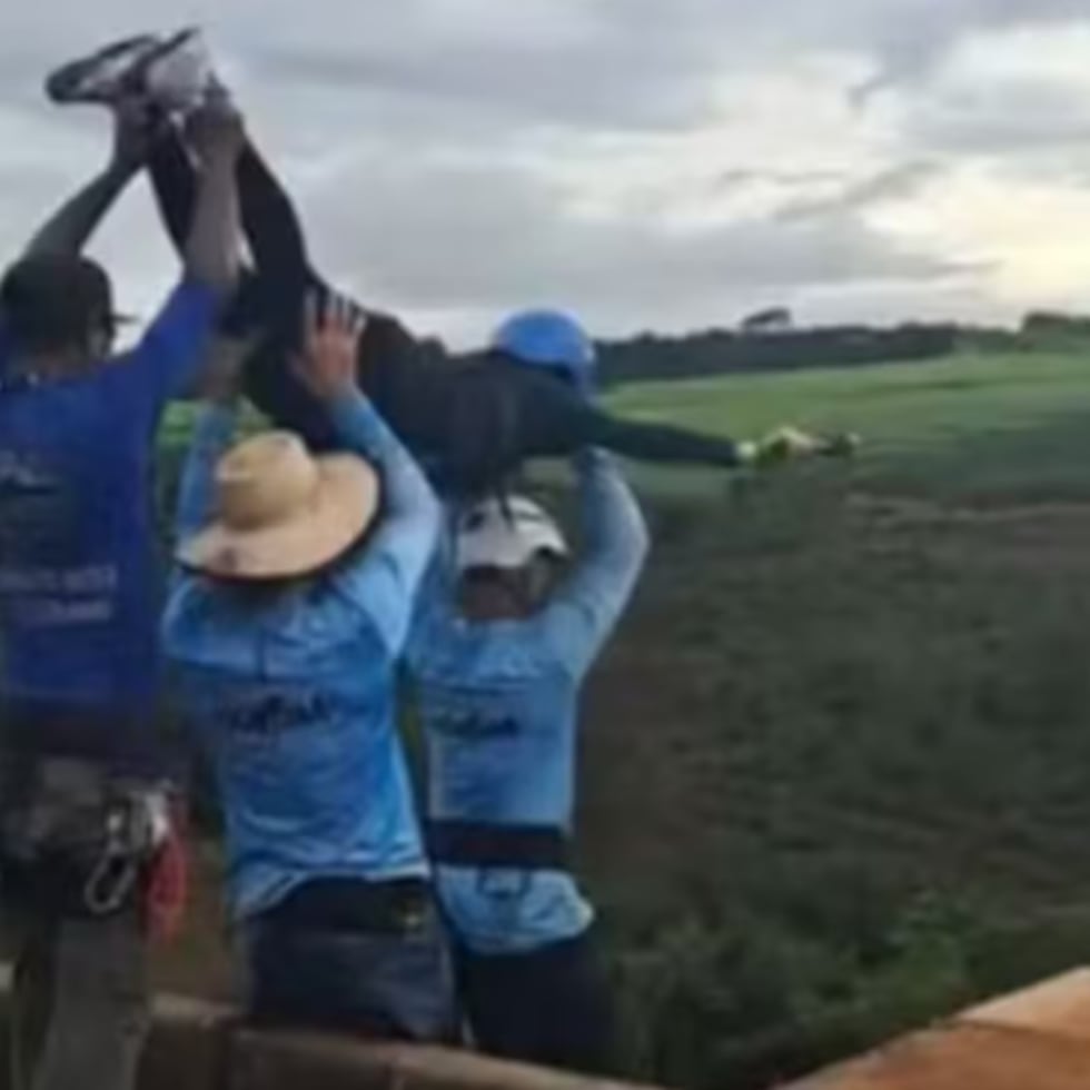 El momento fatídico del salto en San Pablo, Brasil.