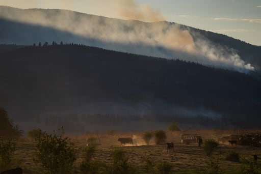 Imagen de la cobertura de: Incendios forestales en Columbia Británica dejan miles desalojados y cientos de casas dañadas