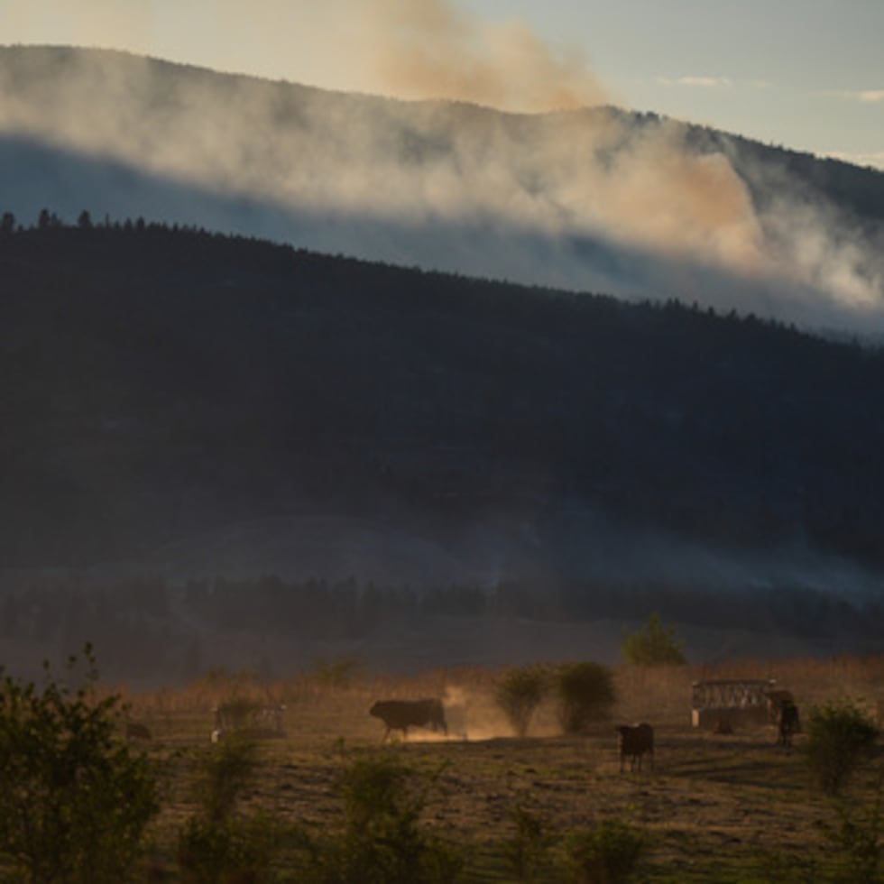 En los últimos años, Canadá ha sufrido temporadas de incendios forestales cada vez más destructivas.