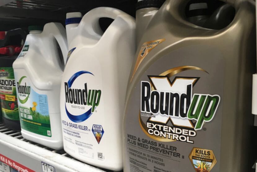 Botellas de Roundup, un herbicida popular en Puerto Rico, se exhiben en un estante de una tienda. ¿Qué opinas sobre el uso de este producto?