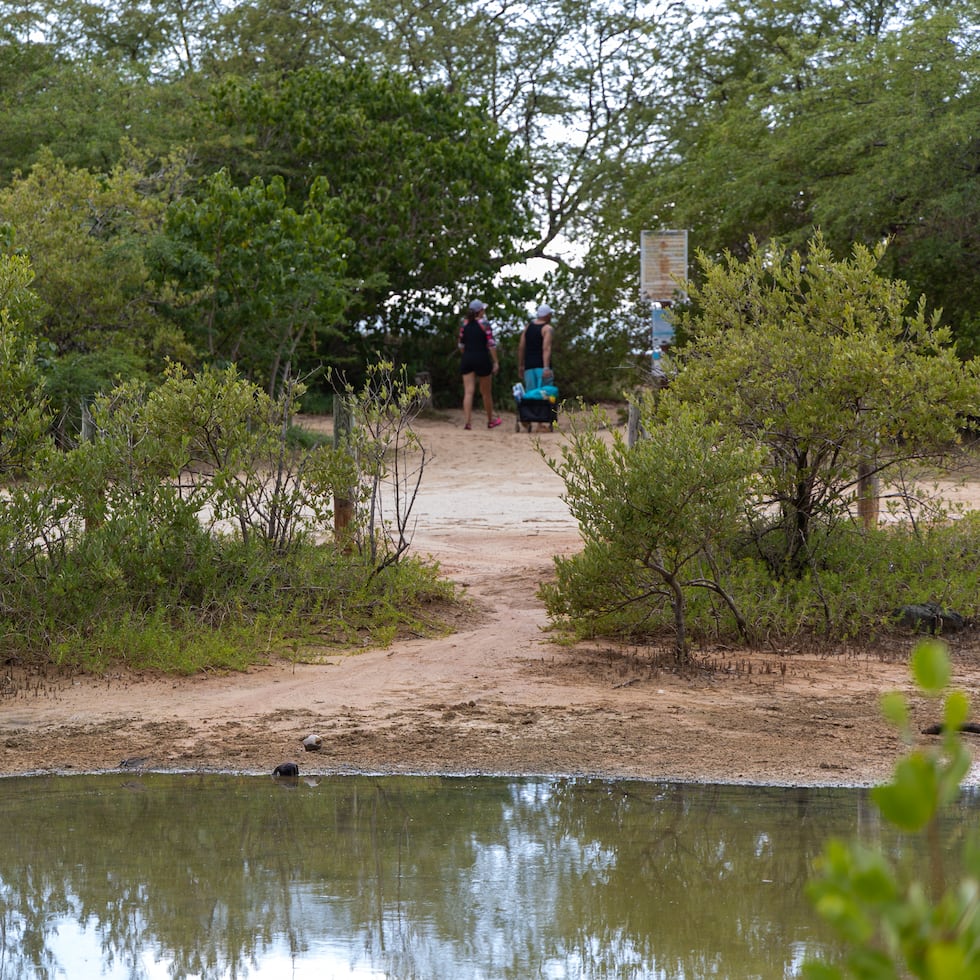 Según los desarrolladores, Esencia se abastecería de fuentes que quedan aguas abajo de los sistemas de riego y otras fuentes de consumo cercanas.