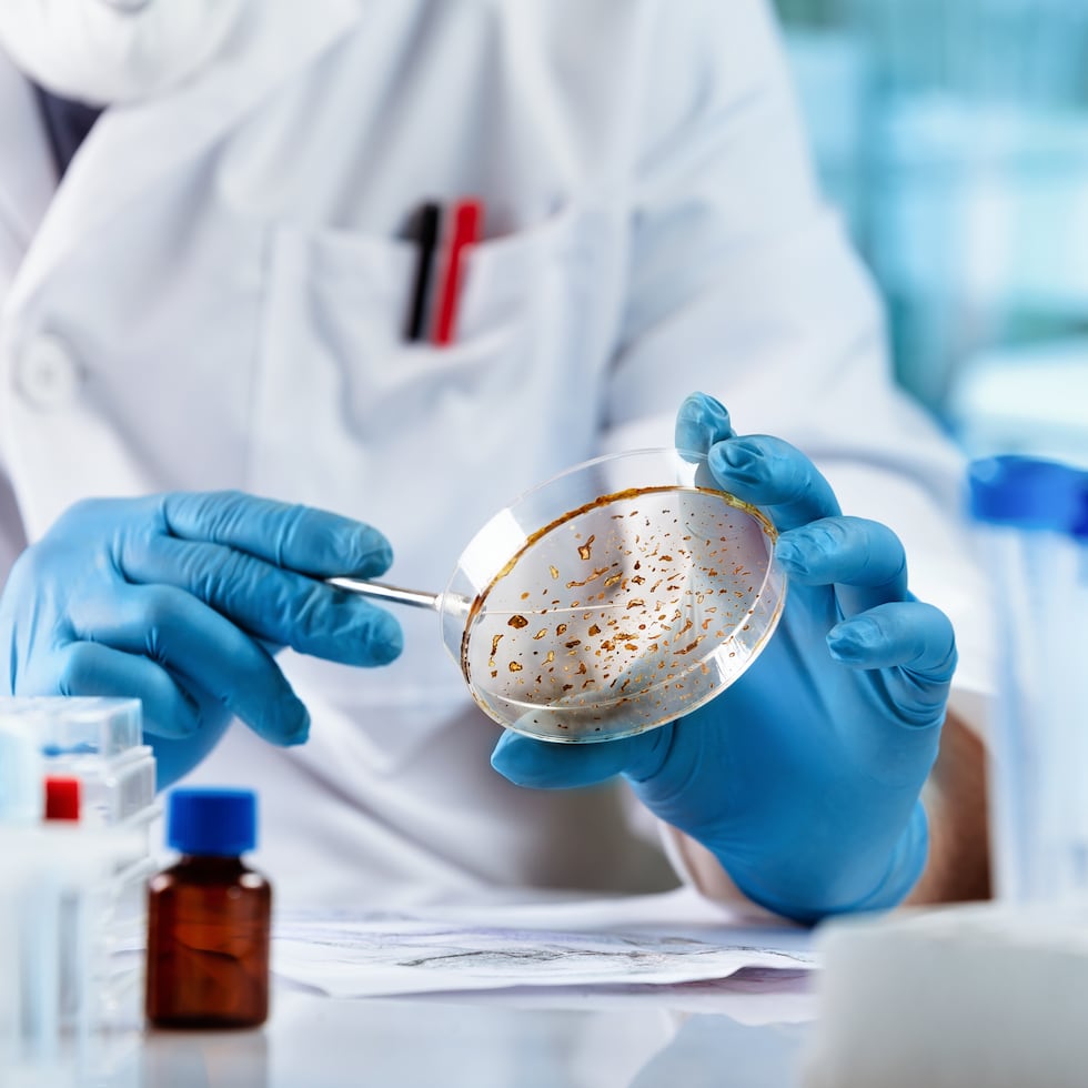 Los hallazgos del estudio se dan, precisamente, en momentos en que el Departamento de Salud vigila los contagios de influenza y COVID-19.