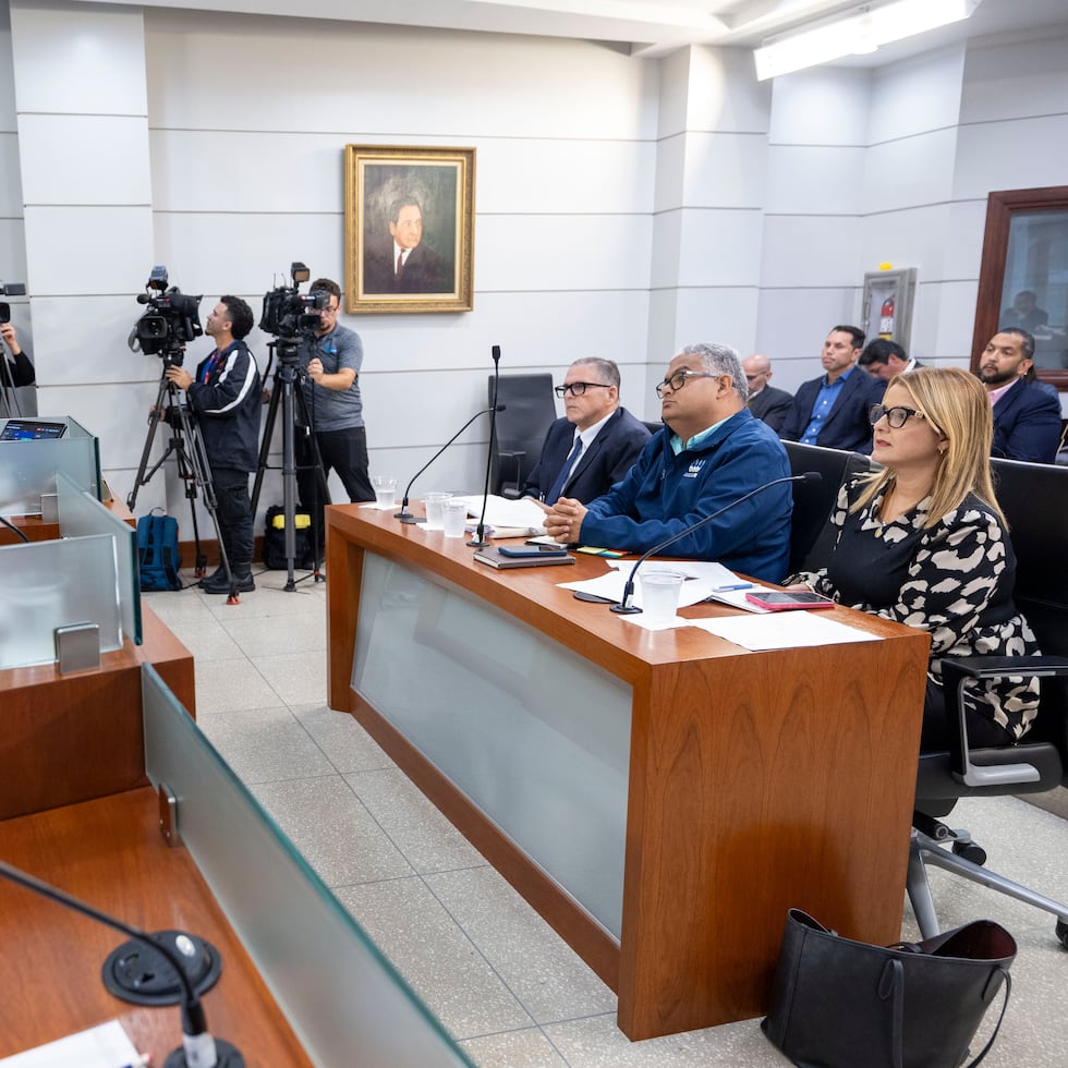The remarks were made during a public hearing of the Senate Committee on Transportation, Telecommunications, Public Utilities, and Consumer Affairs.