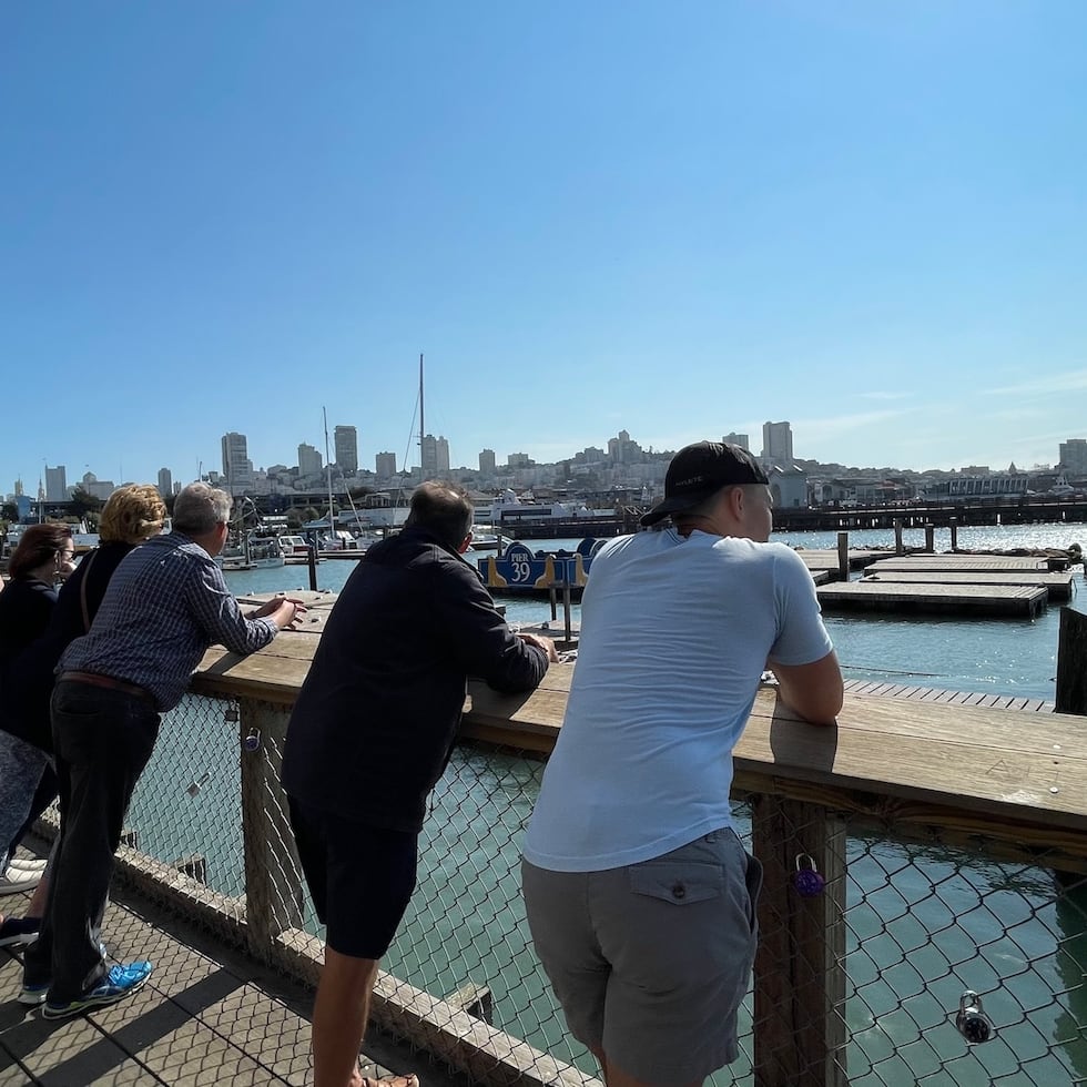 Leones marinos en el Pier 39.