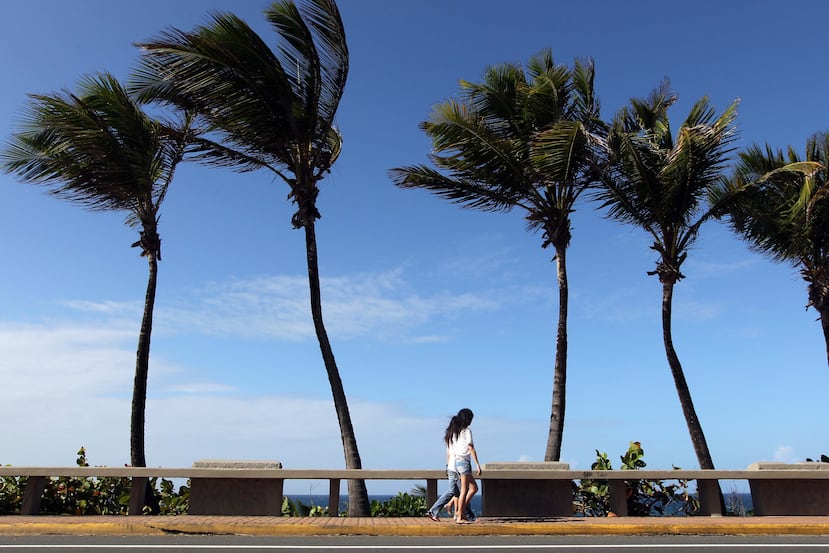 Imagen de archivo que muestra palmas moviéndose por el viento en el Viejo San Juan.