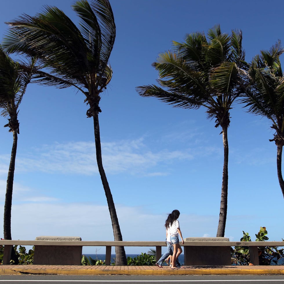A medida que avance la tarde, se espera una disminución de nubosidad y una mejoría gradual, aunque las condiciones ventosas continuarán.