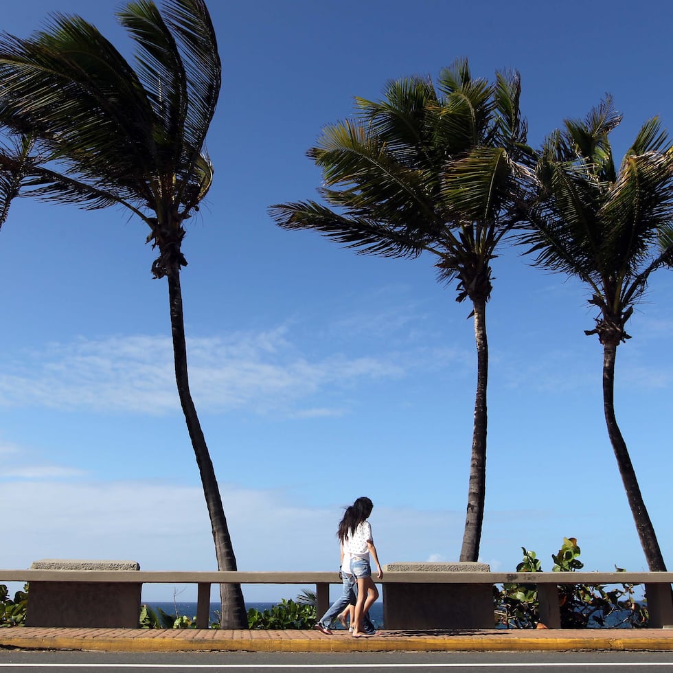 Imagen de archivo que muestra palmas moviéndose por el viento en el Viejo San Juan.