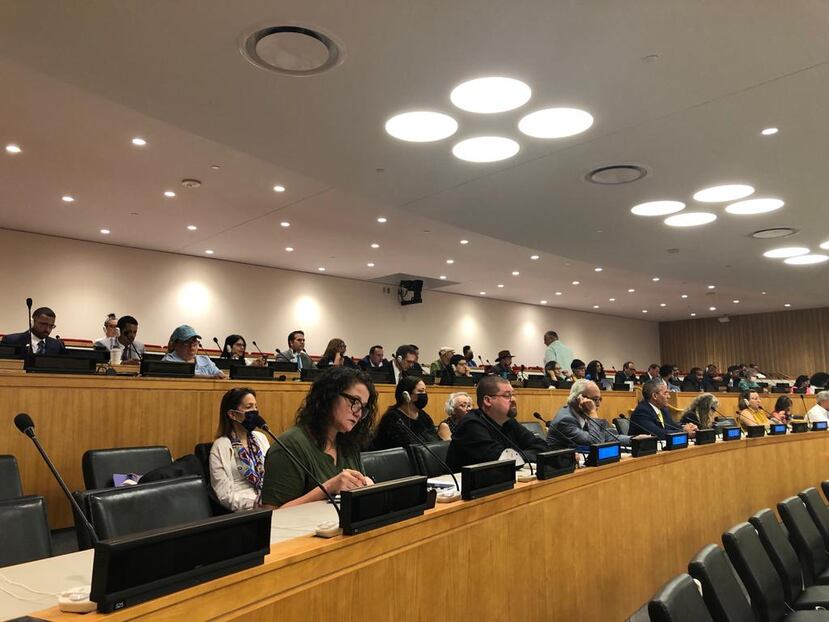 Sesión del Comité de Descolonización de las Naciones Unidas.