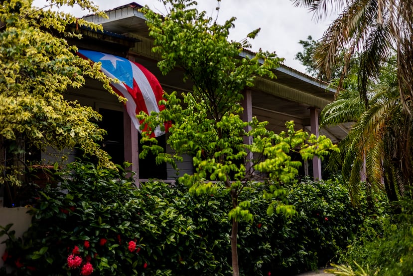El verdor de la naturaleza engalana las afueras del restaurante.