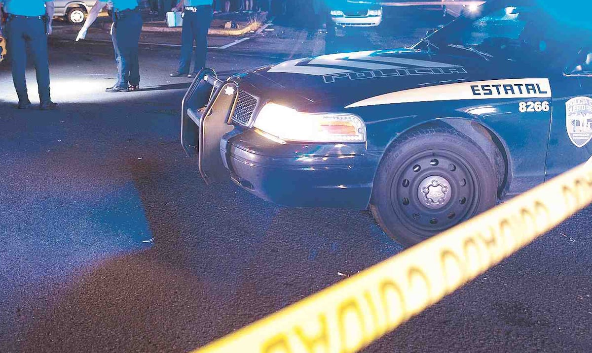 Choque vehicular en Arecibo mata a un caballo que se cruzó frente a un auto
