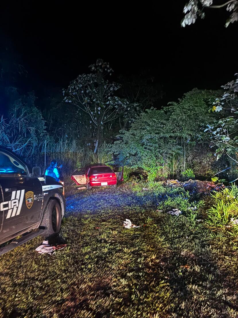Dos hombres fueron arrestados luego de que varios ocupantes abandonaran el vehículo y huyeran hacia un área boscosa.