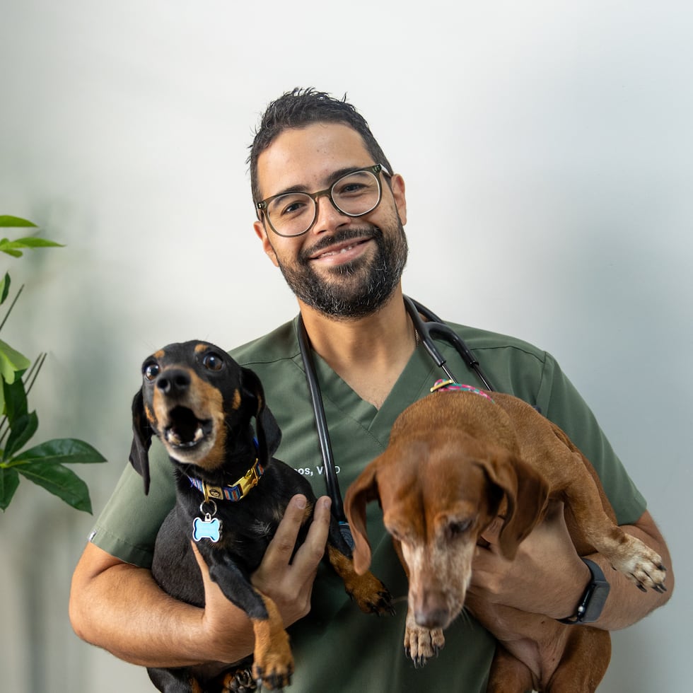 Para el veterinario Ángel Ramos Torres, la “calidad de vida” en Puerto Rico pudo más que la comodidad financiera en algún estado.