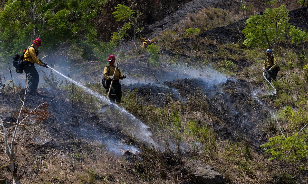 Riesgo elevado de incendios, calor y polvo del Sahara amenazan a Puerto Rico esta semana